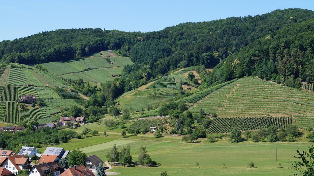 Hotel Schwarzenbergs Traube Glottertal Esterno foto